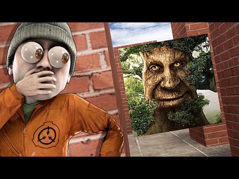 Видео: МЕМ МУДРОЕ ДЕРЕВО В ЛАБИРИНТЕ! SCP В ЛАБИРИНТЕ!