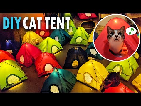 Видео: DIY палаточная деревня | Как сделать палатку для кошки, используя футболку