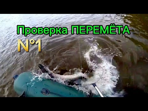 Видео: Проверка ПЕРЕМЁТА N°1