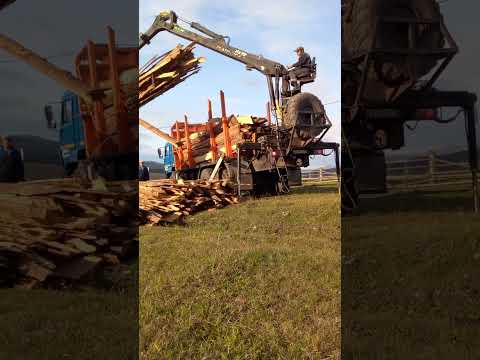 Видео: лесовоз разгружает доски