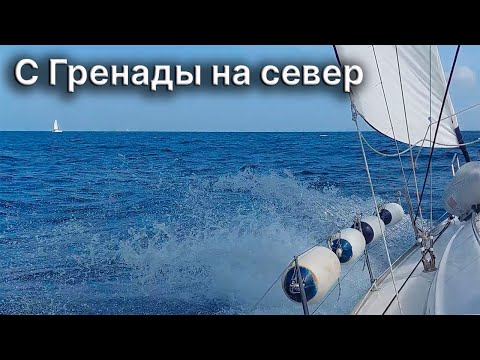 Видео: Спокойный сейлинг Гренада-Карриаку: охота дельфинов, неудачная рыбалка…