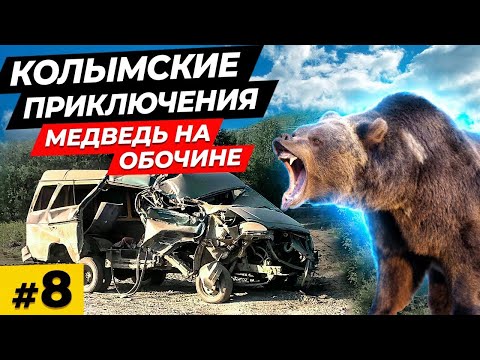 Видео: Колымские приключения \ Ремонт Тойоты \ Заехал в Атку \ Медведь на обочине \ Стрельба в Сеймчане  #8