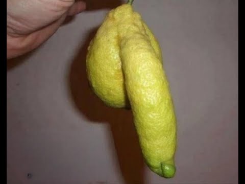 Видео: Нашёл самый тайный лимон Монобанка!