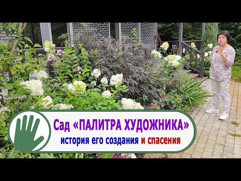 Видео: Видео журнал "СОФ №118" Сад "ПАЛИТРА ХУДОЖНИКА". История его создания и СПАСЕНИЯ