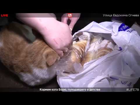 Видео: Боря набросился на булку при журналистках))) Boris give me bread sequel continuation