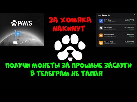 Видео: PAWS НОВЫЙ ХИТ ПРОЕКТ В ТЕЛЕГРАМ🟢 ОБЗОР ПРОЕКТА❗ ЗА ЧТО РАЗДАЮТ ТОКЕНЫ💲