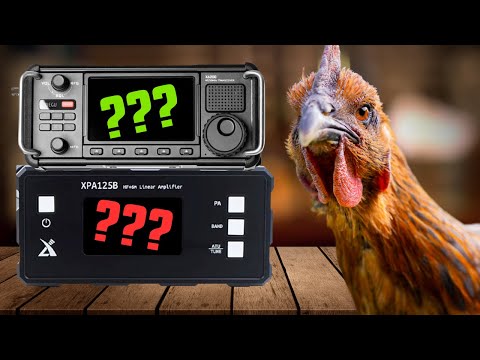 Видео: Работает ли это?