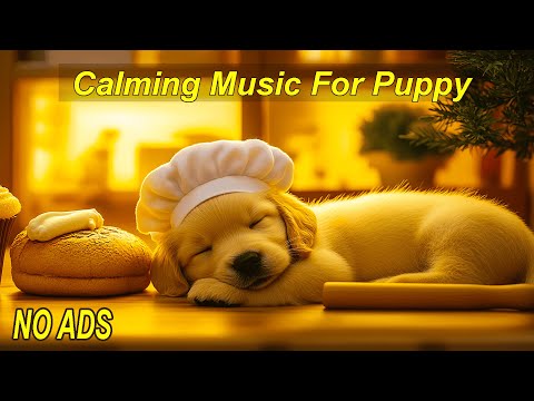 Видео: Успокаивающая музыка для щенков 🎶 Снятие тревоги и комфорт 🐾 Специальные частоты для щенков