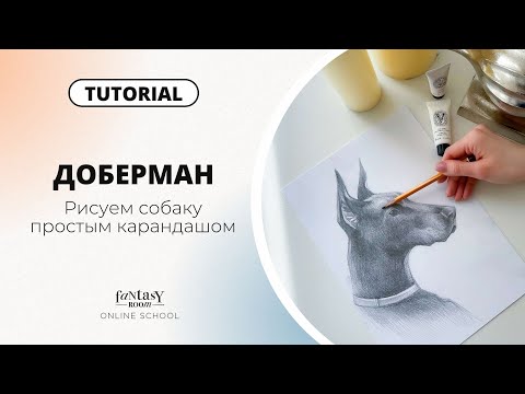 Видео: Как нарисовать собаку простым карандашом