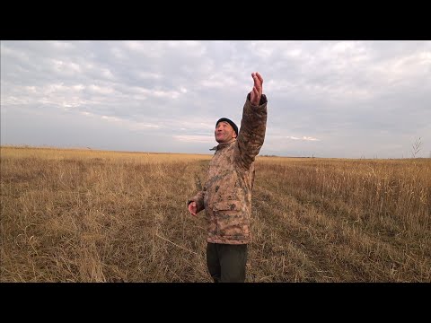 Видео: Охота на уток, весь промок, и не сидится нам дома)