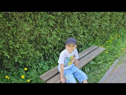 Видео: Ботанический сад в #Калининграде.