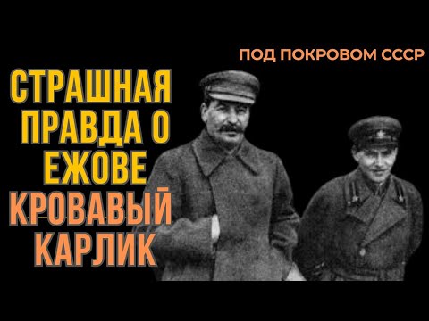 Видео: Страшная правда о Ежове. Кровавый карлик.