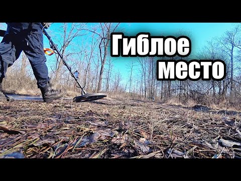 Видео: Болотный коп с MD Nokta Makro Simplex plus.