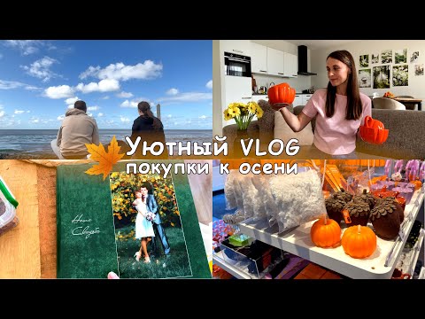 Видео: Покупки к осени🍁🎃Наш свадебный альбом💐Велопрогулка с проишествием🚲Выходные без ребёнка🎉