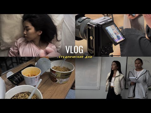 Видео: VLOG: снова студенческие будни/одна неделя из моей жизни