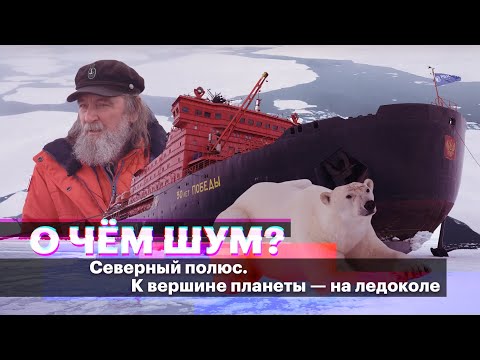 Видео: Как выглядит Северный полюс? В Арктике правда все тает? Экспедиция на ледоколе с Федором Конюховым