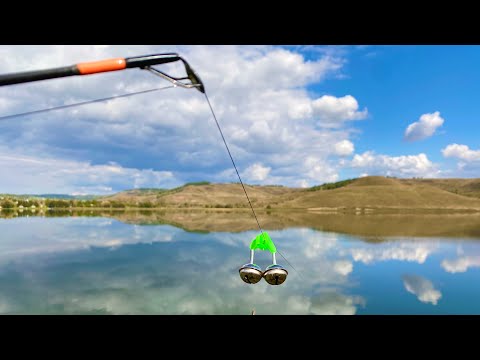 Видео: Не ожидал что сазан стоит у берега. Рыбалка на донки.