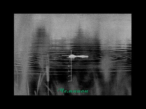 Видео: Охота на бобра  #42 \ Восемь штук