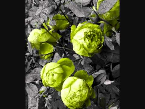 Видео: Евгения Отрадная - Я тебя очень ( Dj Vini Remix )