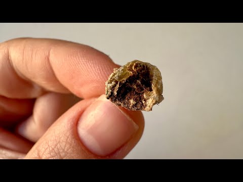 Видео: Мои неудачи и потери. 01.02.25