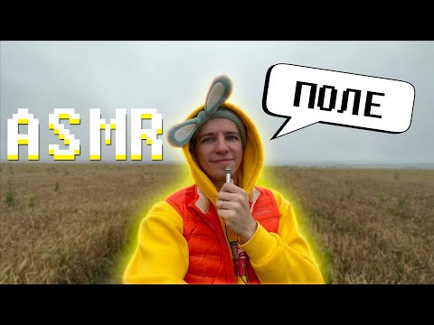 Видео: АСМР В ПОЛЕ 🌾 БОЛТАЛКА 💛
