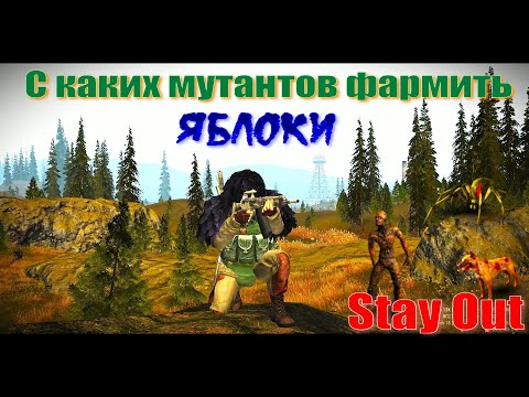 Видео: ⭐Stay Out ⭐Сталкер-Онлайн 👍  С каких мутантов фармить яблоки .