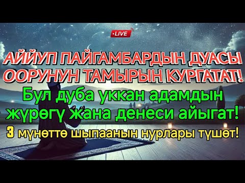 Видео: Аййуп пайгамбардын дубасы — оорунун изин жок кылат! 3 мүнөттө шыпаанын керемети келет! ✨💫