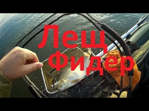 Видео: Лещ на фидер-пикер. Яузское водохранилище, Савино