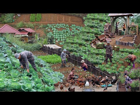 Видео: Полное видео 2025 | Устойчивый образ жизни и фермерская жизнь: построение сильного и...
