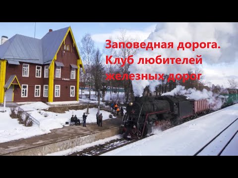 Видео: Заповедная дорога. Клуб любителей железных дорог.