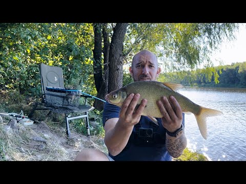 Видео: Рибалочка на Десні 🐟 Фідер. 🎣 Погреби. Серпень 2024! Лящ клює, але не у всіх.