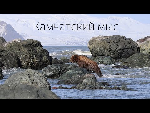 Видео: мыс Камчатский, ч. 2