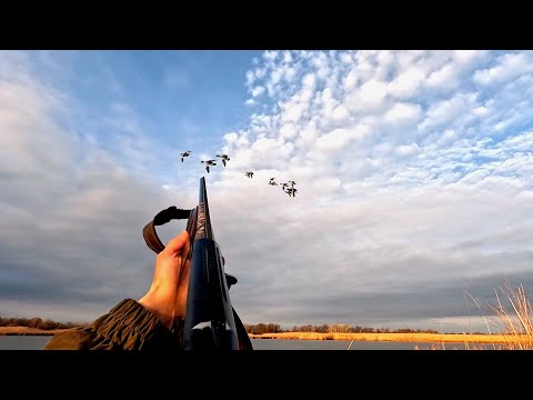 Видео: ОХОТА НА УТКУ !!!ДЕКАБРЬ 2024 ТОЛЬКО ЛУЧШИЕ МОМЕНТЫ!!!