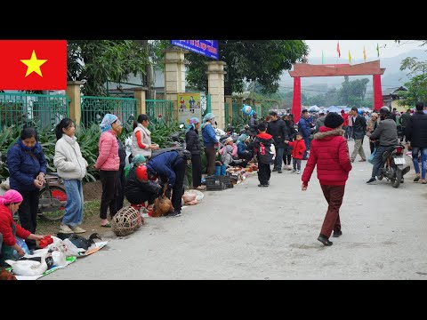 Видео: «Рынок Та Пхой: вкусные блюда и уникальные культурные особенности Сапы»
