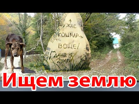 Видео: Ищем земельный участок. Джубга. Ольгинка. Новомихайловский.  Купить землю не просто.