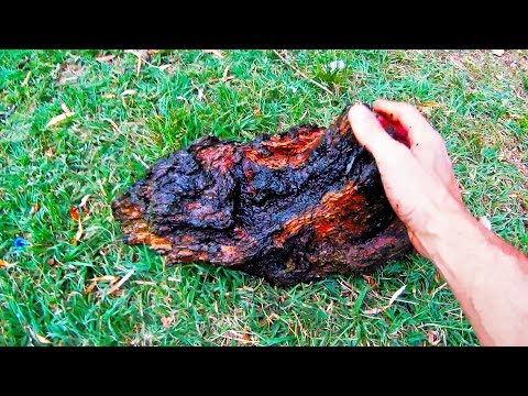 Видео: КАК НАЙТИ КОРЯГУ ДЛЯ АКВАРИУМА!!!