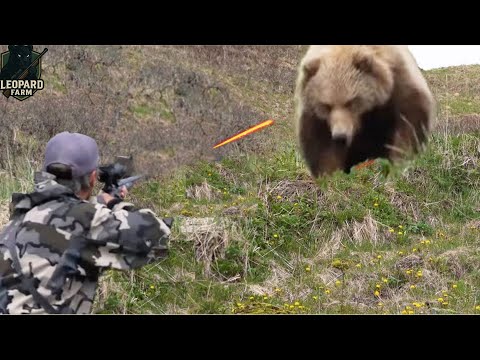 Видео: Невероятная охота! Как американские фермеры и охотники сражаются с миллионами диких кабанов и мед...