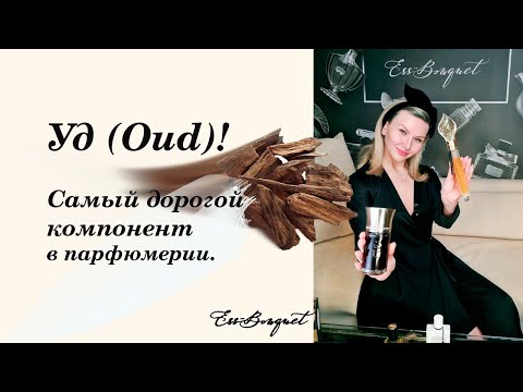 Видео: Самый дорогой компонент в парфюмерии - Oud (Уд)