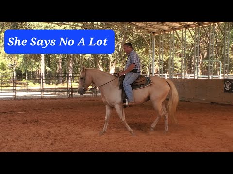 Видео: Ей нужно сказать «Да»!