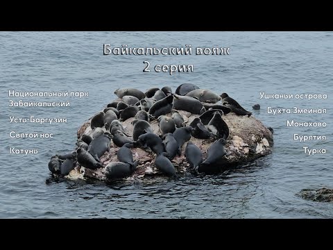 Видео: PDP Байкальский вояж 2025 вторая серия Ушканьи острова Бухта Змеиная Катунь Святой нос Турка Бурятия