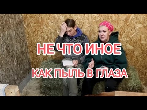 Видео: Деревенский дневник ЛЕЛИ БЫКОВОЙ. Обзор. Подсчёты прибыли.