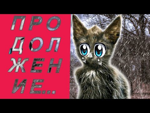 Видео: Кошечка Василиса СПАСЛА от СМЕРТИ БЕЗДОМНОГО КОТЁНКА. ЧАСТЬ 2