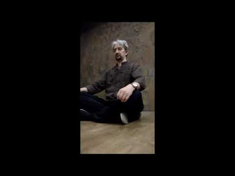 Видео: Беседы о Тайцзицюань - В.Шигорин - часть 2. Медитация на точку Тайцзи.