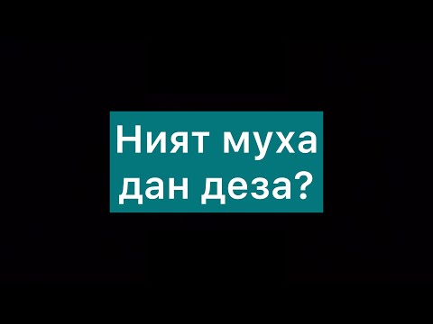 Видео: Ният муха дан деза / lадлан