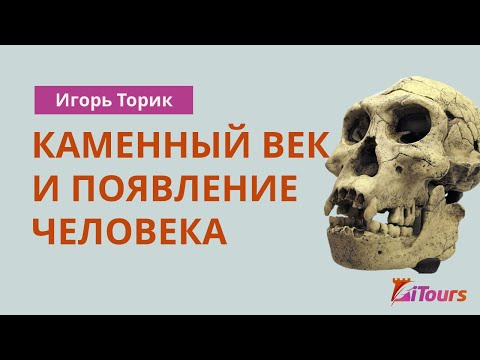 Видео: Игорь Торик: Каменный век и появление человека