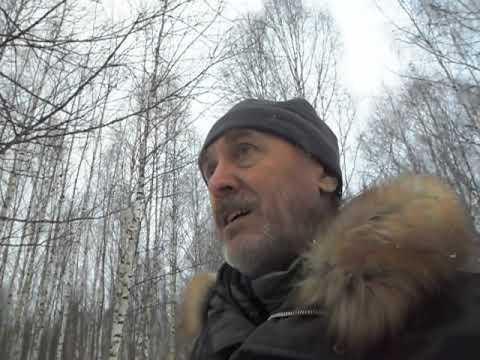 Видео: Хороший  зимний день что бы пострелять.