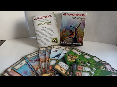 Видео: Мини-дополнение Эволюция Метаморфозы