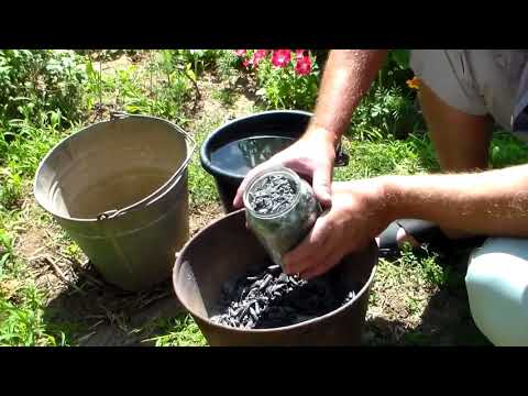 Видео: Работы во время роста ягод винограда