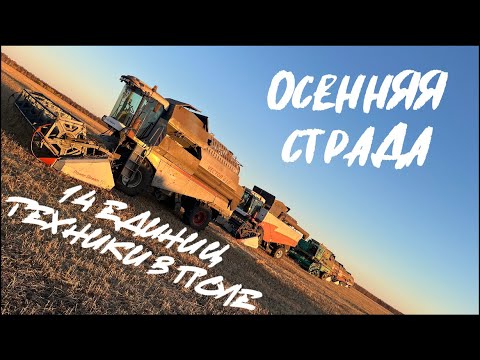 Видео: Началась самая жаркая пора,УБОРКА УРОЖАЯ. Молотим пшеницу. Комбайны, КАМАЗы, МТз все в работе