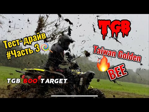 Видео: Квадроциклы TGB , тест-драйв 3 часть !УТОПИЛА TARGET 600 🐝 Пчелы не умеют плавать